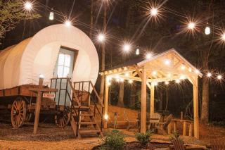 Delightful Wagon with Incredible Hiking Trails and Activities in Tennessee - Benton - 0