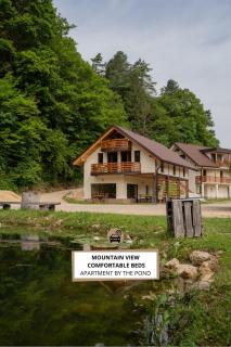 Ribnik Stari trg - Lesično - 0