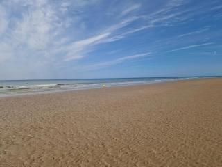 Le Cocon, 100m de la plage, place de parking privé - Saint-Hilaire-de-Riez - 2