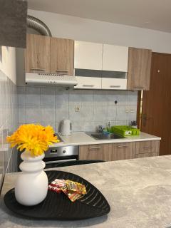 Studio Apartman Karlo - 7
