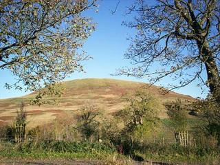 Birch Cottage- 15841 - Catcleugh - 1
