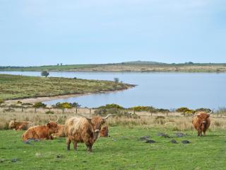 Cross Cottage - Saint Breward - 1