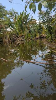 Venna Farm Lodge - 4