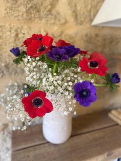 Maset de caractère à Saint Siffret - Mas des Chênes - - 1