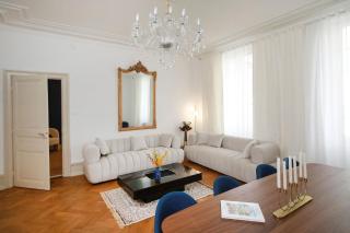 LE LYNX HAUSSMANIEN appartement tout confort, climatisé avec parking privé, à deux pas du centre - Colmar - 8