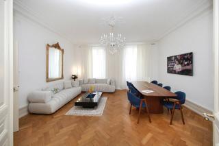LE LYNX HAUSSMANIEN appartement tout confort, climatisé avec parking privé, à deux pas du centre - Colmar - 0