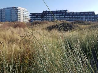 Apartment for 5 people with garage - Oostduinkerke - 3
