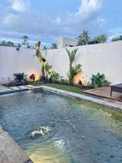 Evandari villa - Ubud - 1