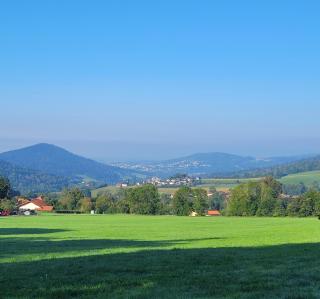 Hotel Sonnenhof - Tante ALMA`s Sommerfrische - Sonnen - 6