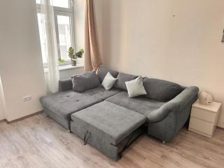 Spacious Netflix Apartment for up to 4 People with Massage Shower - 2