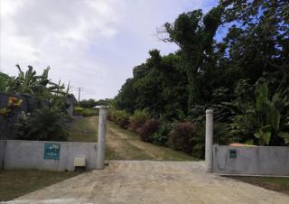 DADI'S LITTLE PARADIS - Sainte-Rose - 9