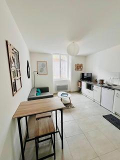 T1 bis, calme, centre-ville, le Cocon de Blois - 6