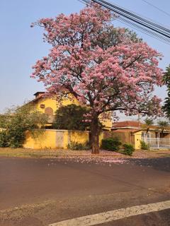 Pensao do Fabio - Ribeirão Preto - 3