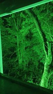 Pousada CHÂTEAU LUMIÈRE - 5