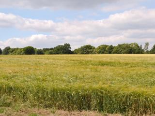 Stable Cottage - Ticehurst - 3