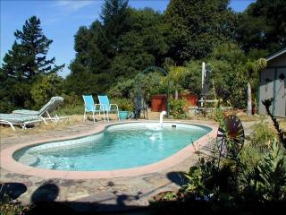 Vacation Rental with Spa and Pool on Winery near Healdsburg, California - Hopland - 8