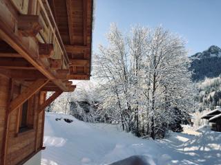 Chalet Robert Folliet - 15p - La Chapelle-dʼAbondance - 1