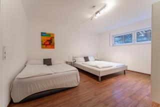 Schmitten Lodge - Zell am See - 9