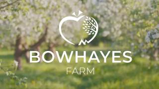 Bowhayes Farm - Camping & Glamping - Shepherd's Hut 'Pippin' - Venn Ottery - 2