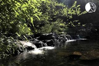 Private Accommodation for a Couples' Getaway in Penn Valley, California - Penn Valley - 5