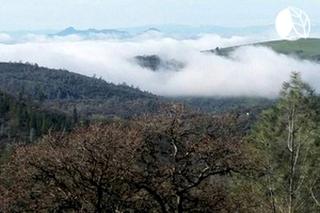 Private Accommodation for a Couples' Getaway in Penn Valley, California - Penn Valley - 3