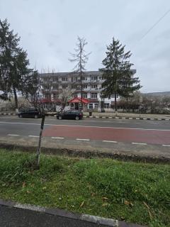 Hotel Gilort - Tîrgu Cărbuneşti - 4