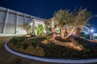 MarSenses Rosa del Mar Hotel & Spa - Palmanova - 1
