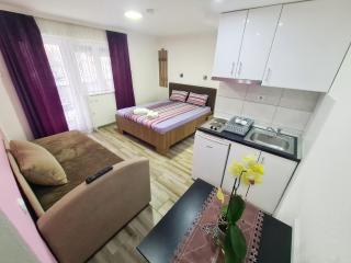 Vila Aleksandra 2 studio 4 - Soko Banja - 5
