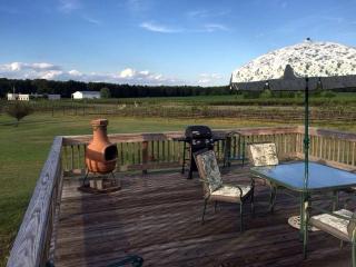 Charming Weekend Getaway Located on a Vineyard near Cleveland, Ohio - Berlin Center - 7