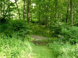 Lovely Cottage Getaway in the Mountains near Phoenicia, New York - Chichester - 3
