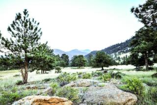 Diamond - The Historic Crags Lodge - 1BD - 3