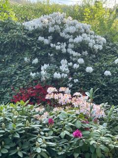 Zimmer in der Kastanienvilla - 5