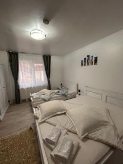 Casa Viorica și Luis - Câmpulung Moldovenesc - 1