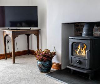 Bryniago Whitland - 8