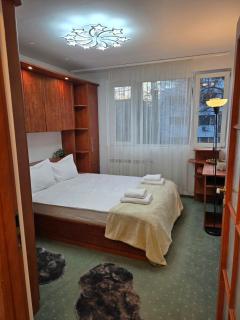 AFI Comfort Stay - Bucarest - 4