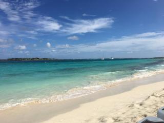 Oceanfront Paradise: Penthouse with Peloton - 1