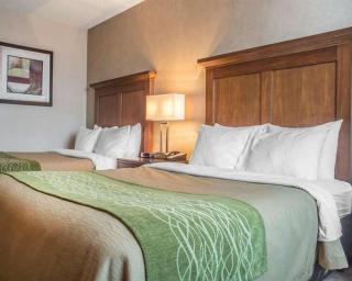 Port Hope Inn & Suites - Port Hope - 4