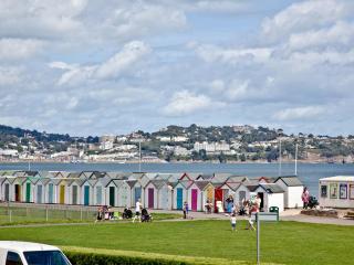 16 Belvedere Court - 1