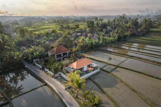 Umah Bali Villa - Ubud - 6