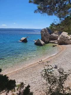 Apartment Mimice 4 - 1