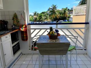 Duplex 2 minutes de la plage - Le Moule - 1