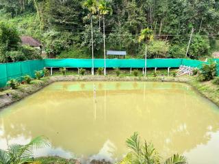 Navaz Kalavara - Holiday Home - Ambalavayal - 2