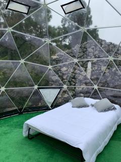 SkyDome - San Juan del Reparo - 5