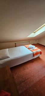 Hotel Olimp - 2 stele - Cluj-Napoca - 9