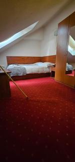 Hotel Olimp - 2 stele - Cluj-Napoca - 7