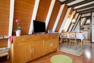 Nurdach-Haus Typ 7 - 1