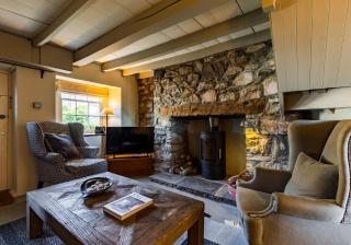 Clydfan - Newport - 8