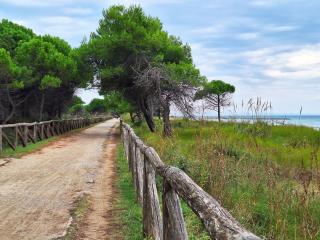 Bright escape near the beach - Bibione - 1