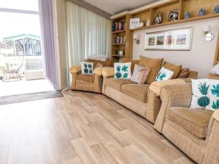 Hazel Park Lodge HP4 - Rhyl - 6