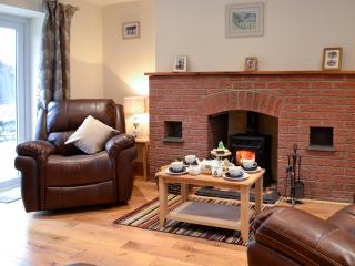 Felin Gogoyan - Llanddewi-Brefi - 6